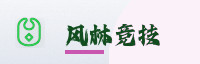 智链伙伴
